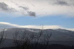 dsc_7792